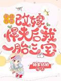 穿越九零，改嫁悍夫后我一胎三宝