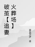 破茧【追妻火葬场】