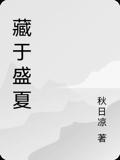 藏于盛夏