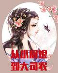 从小厨娘到大司农
