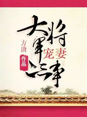 大将军宠妻二三事